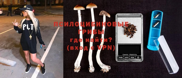 таблы Богородицк