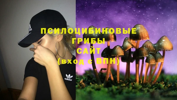 MDMA Богородск